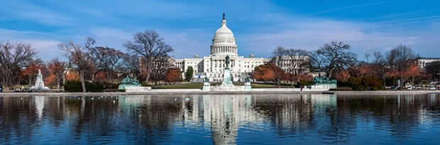 GettyImages-511481494_Capitol HillBanner Image.jpg